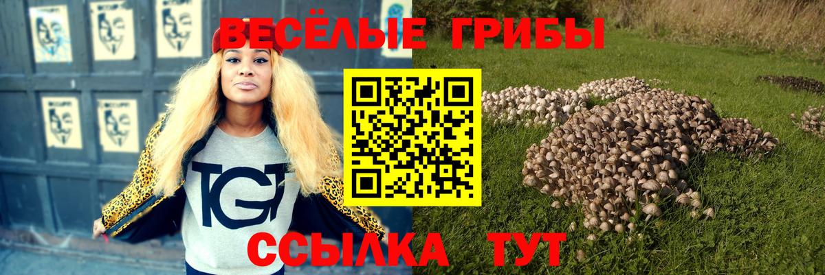 Галлюциногенные грибы прущие грибы  Галлюциногенные грибы Cubensis  купить   Нальчик  Вход с VPN 
